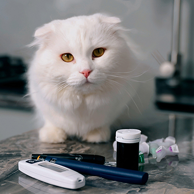In-Clinic Diagnostics