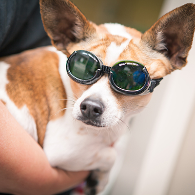 Laser Therapy
