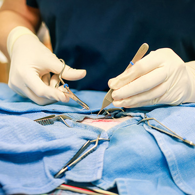 Surgery & Orthopedics